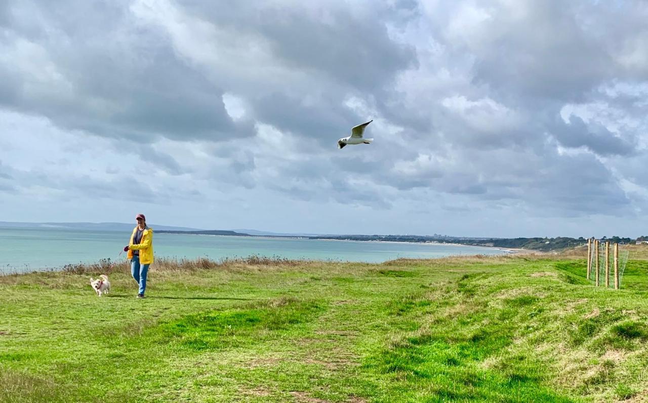 Shorefield Country Park, Where The New Forest Meets The Sea, Passes For All Entertainment Included Milford on Sea Ngoại thất bức ảnh