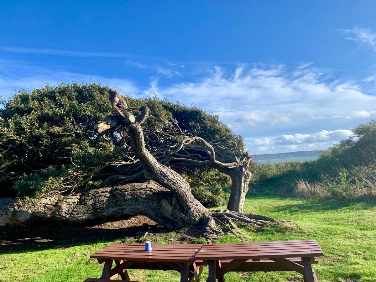 Shorefield Country Park, Where The New Forest Meets The Sea, Passes For All Entertainment Included Milford on Sea Ngoại thất bức ảnh